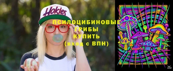 шишки Остров