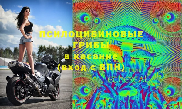 шишки Остров