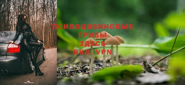 шишки Остров