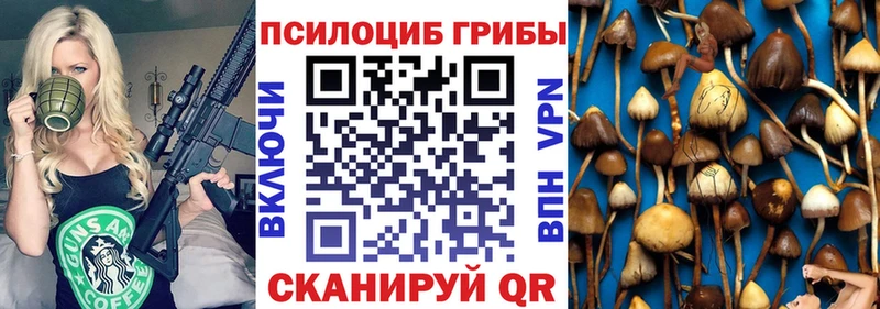 Галлюциногенные грибы Psilocybine cubensis  Купить  Новочебоксарск 